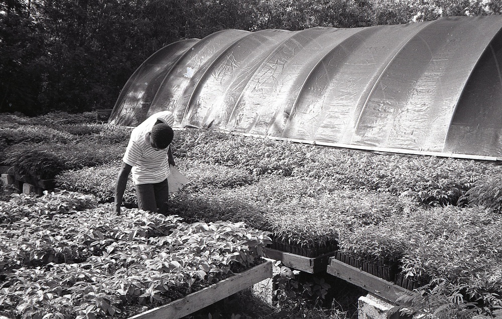 Haiti - Rural Development &amp; Agriculture