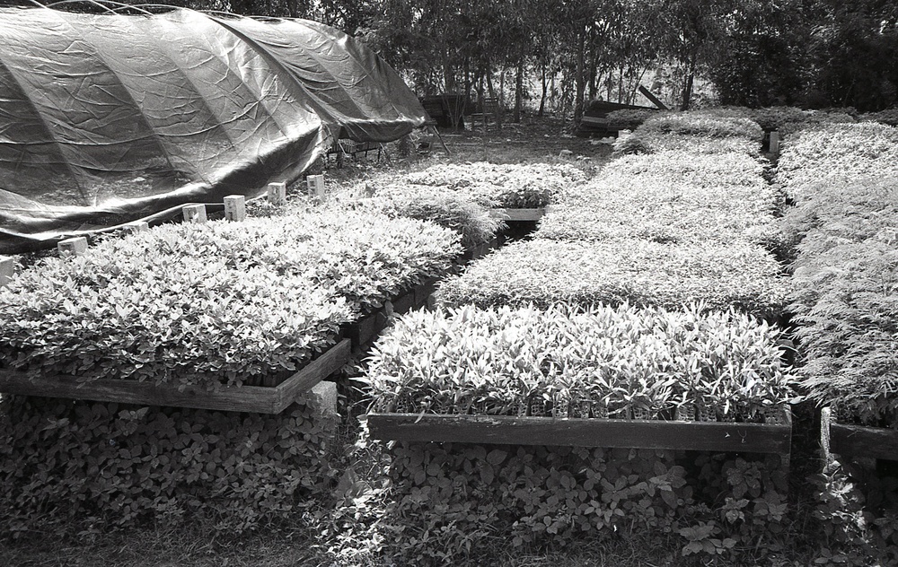 Haiti - Rural Development &amp; Agriculture