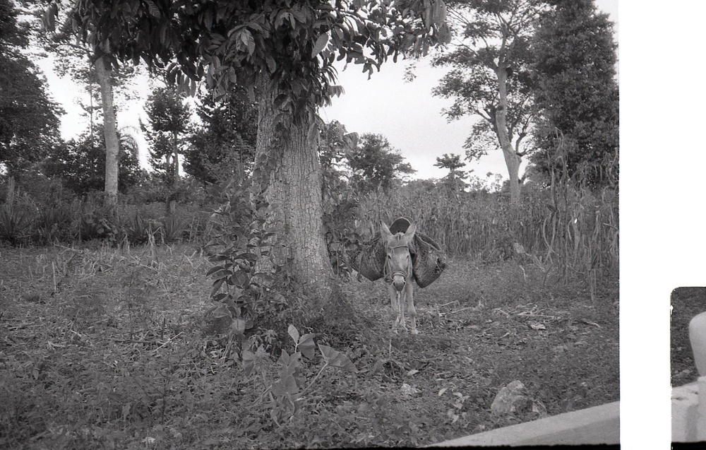 Haiti - Rural Development &amp; Agriculture