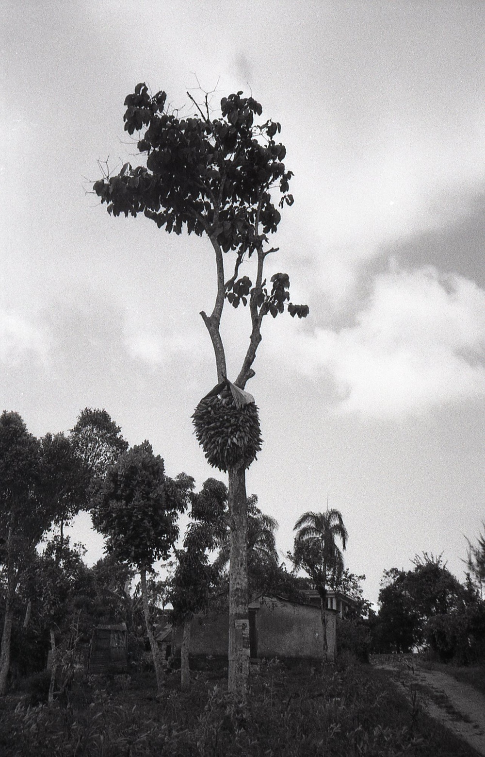 Haiti - Rural Development &amp; Agriculture