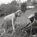 Haiti - Rural Development &amp; Agriculture