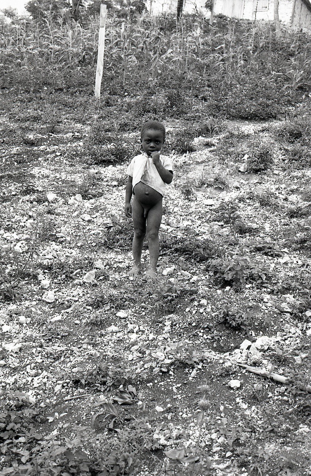 Haiti - Rural Development &amp; Agriculture