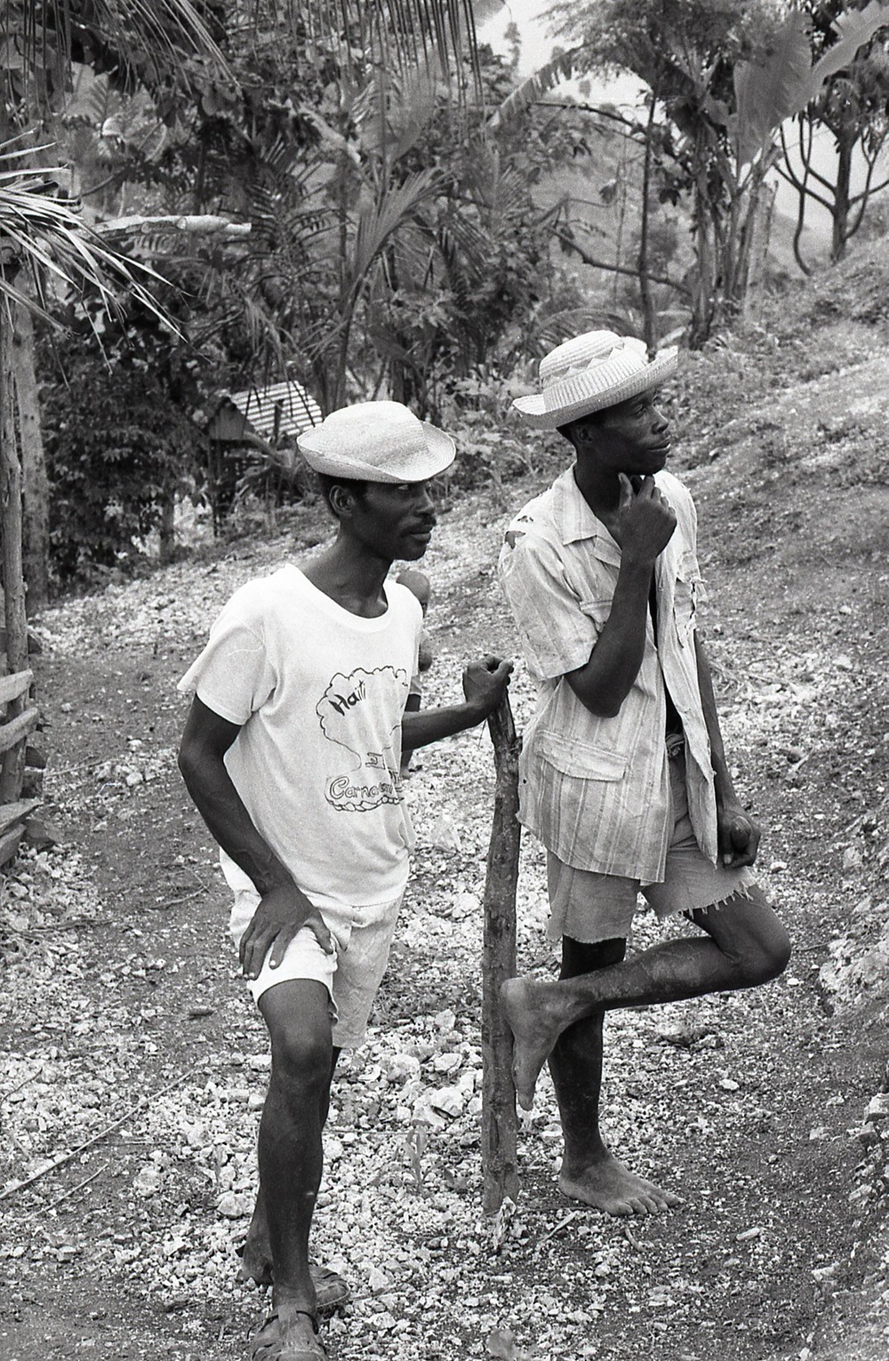 Haiti - Rural Development &amp; Agriculture