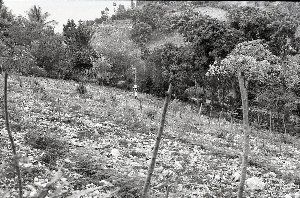 Haiti - Rural Development &amp; Agriculture