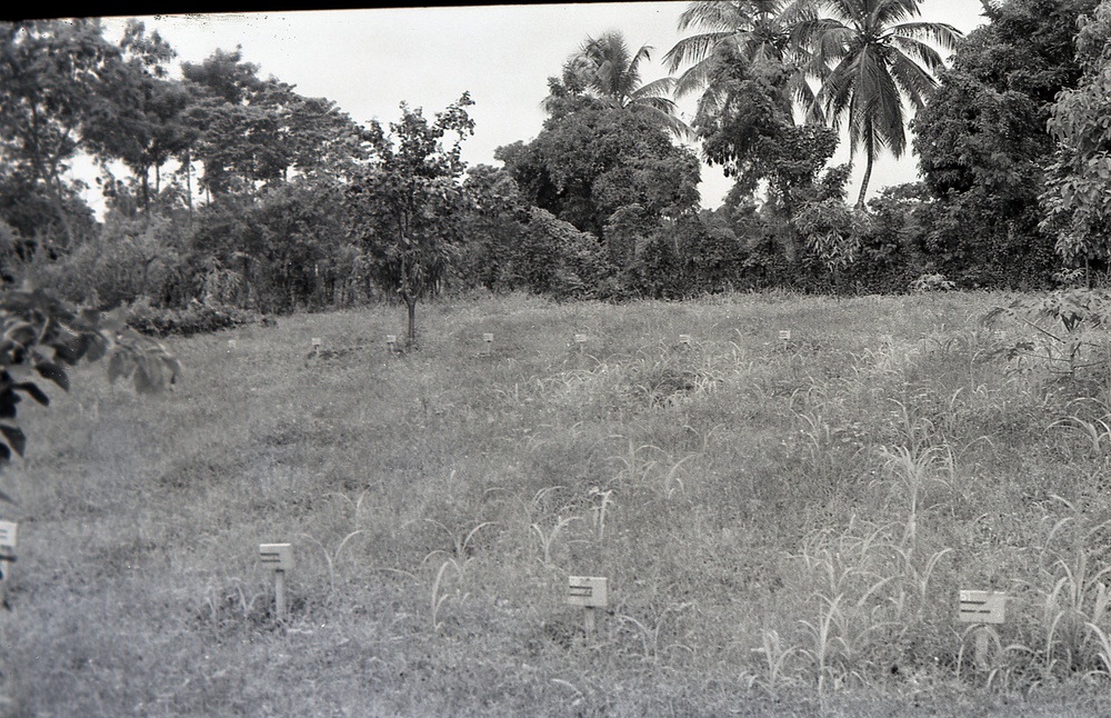 Haiti - Rural Development &amp; Agriculture