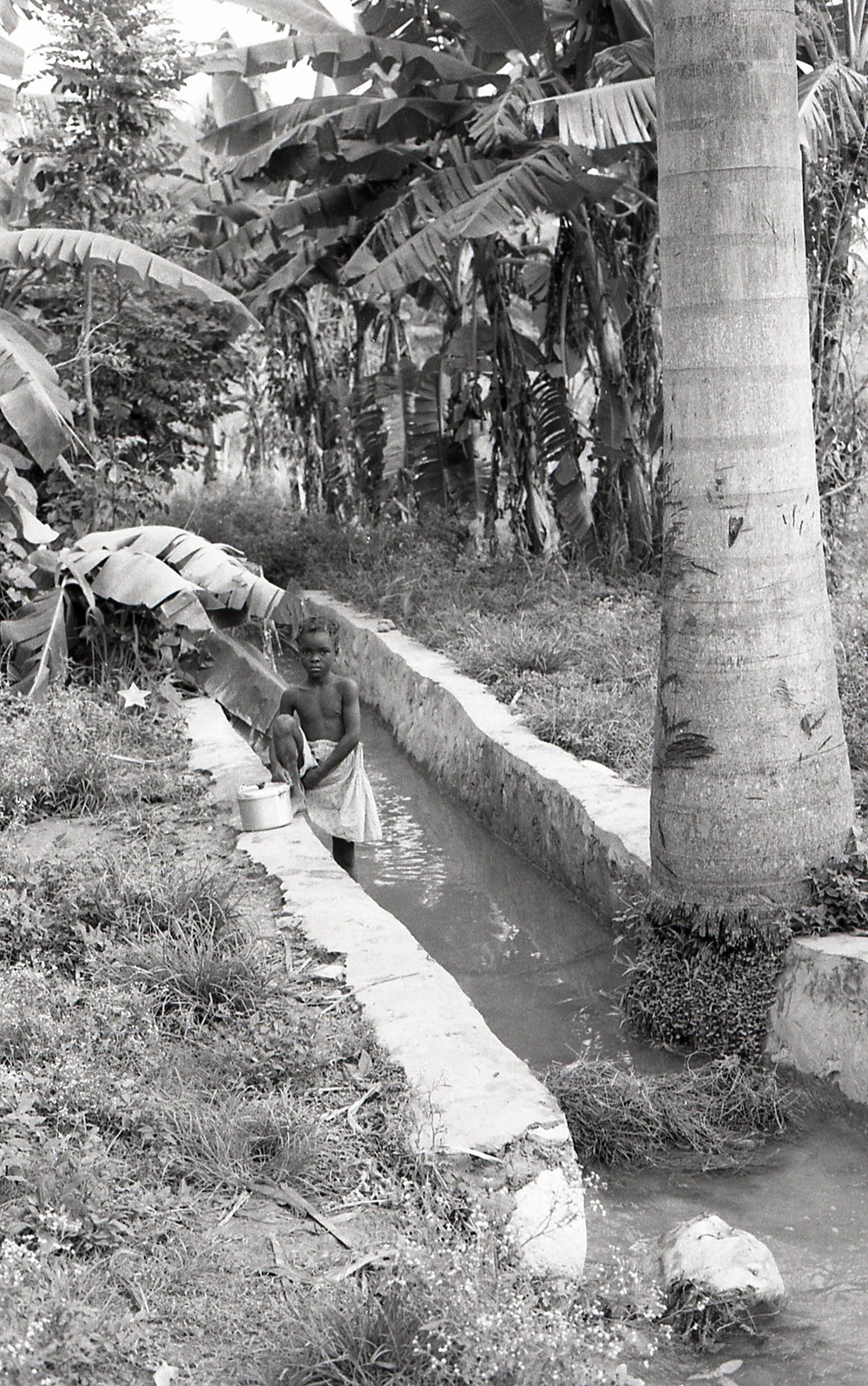 Haiti - Rural Development &amp; Agriculture