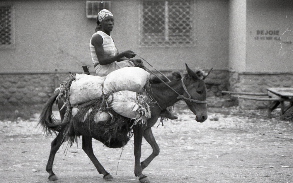 Haiti - Rural Development &amp; Agriculture