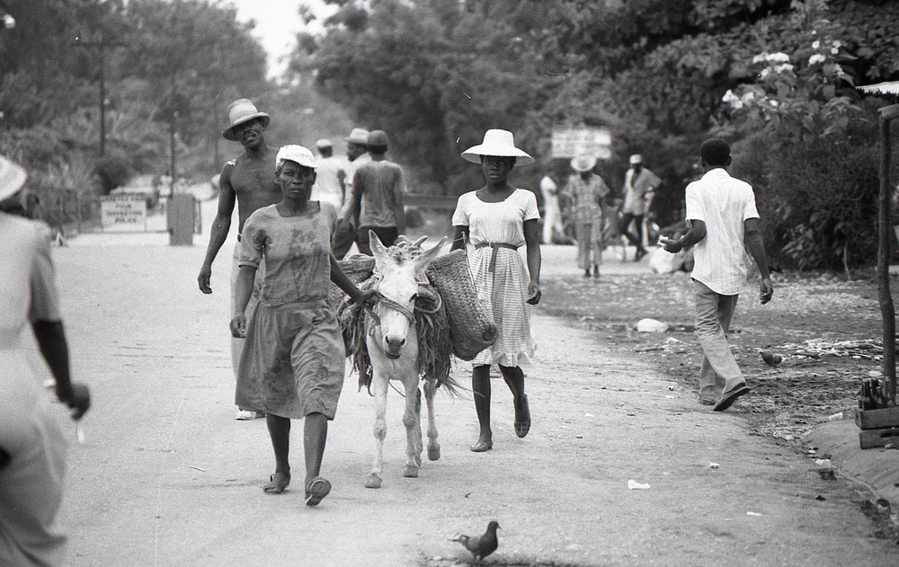 Haiti - Rural Development &amp; Agriculture