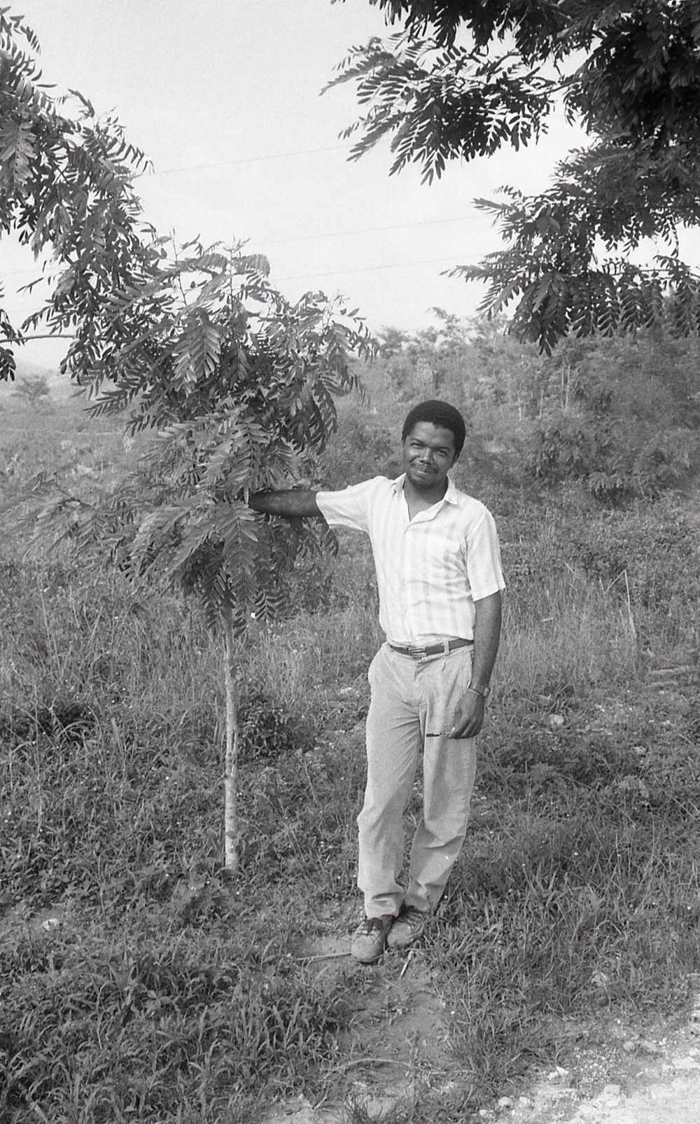 Haiti - Rural Development &amp; Agriculture