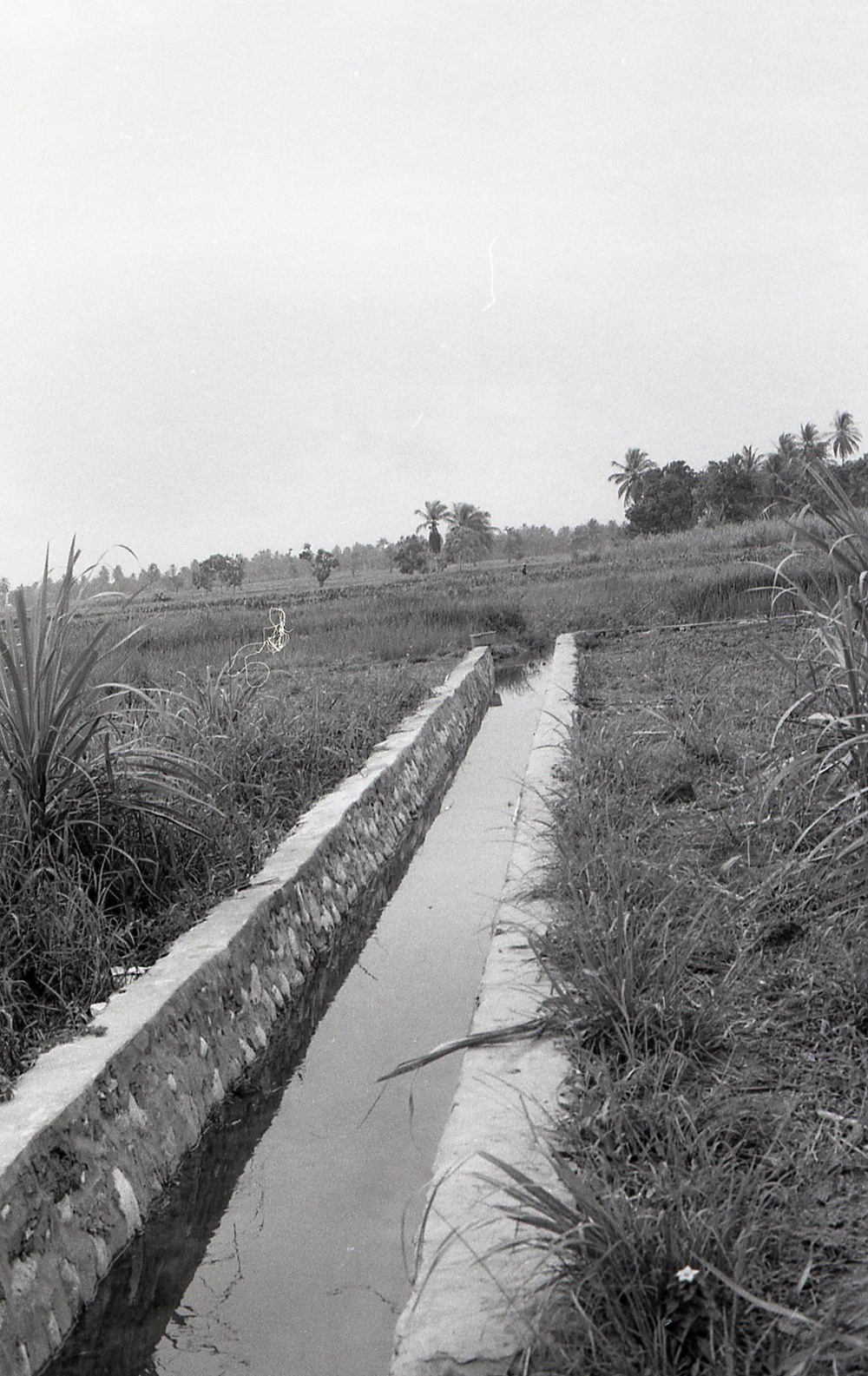 Haiti - Rural Development &amp; Agriculture