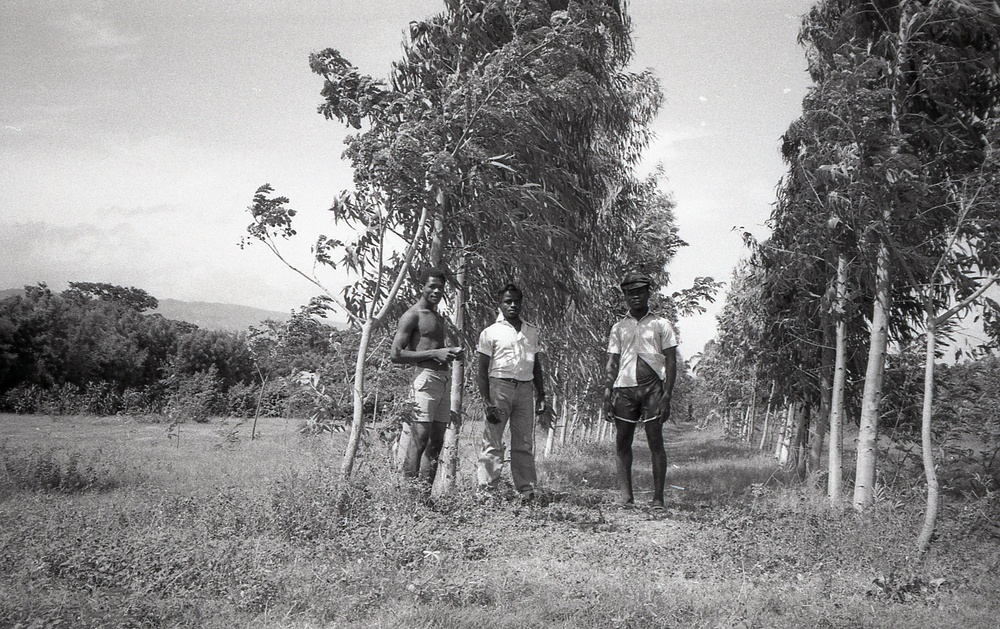 Haiti - Rural Development &amp; Agriculture