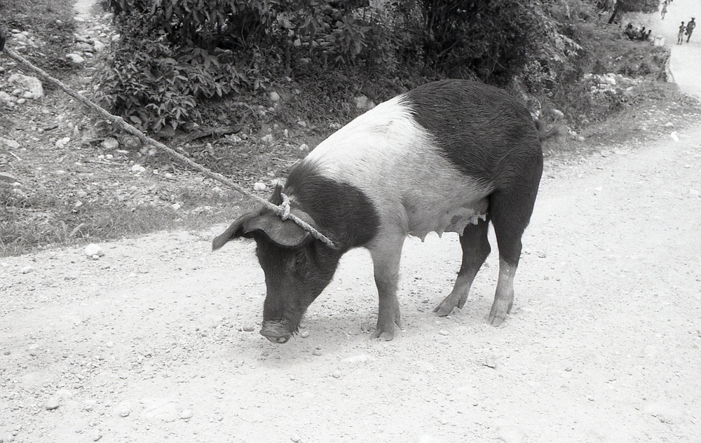 Haiti - Rural Development &amp; Agriculture