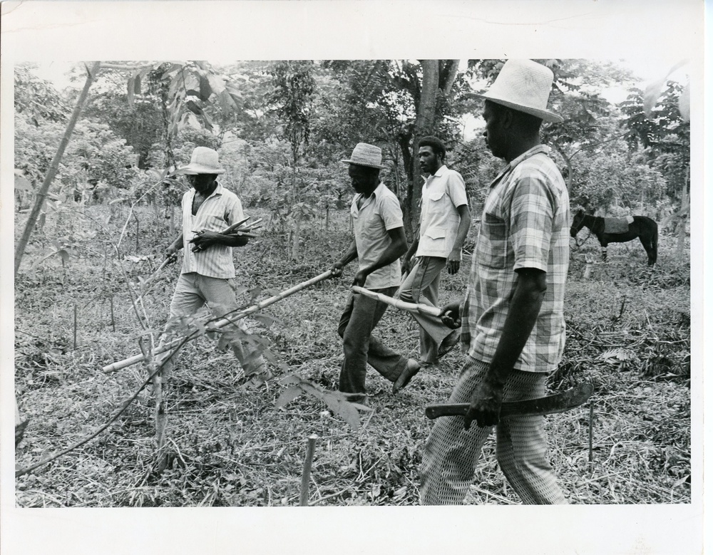 Haiti - Rural Development &amp; Agriculture