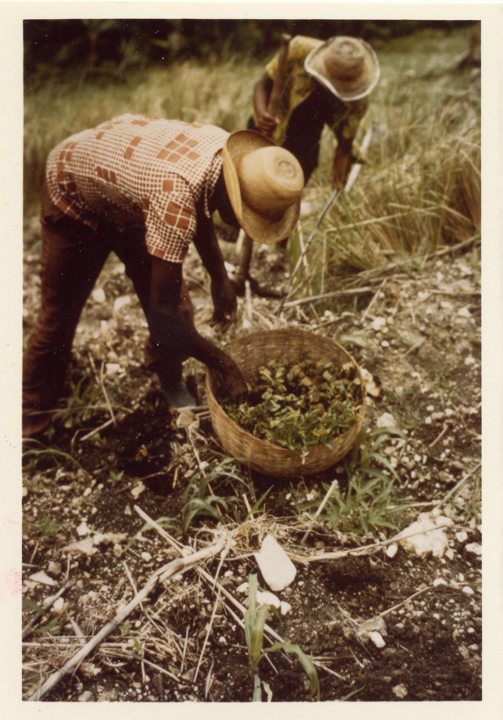 Haiti - Rural Development &amp; Agriculture