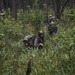 Calm in the chaos: CCT students under pressure in tactics exercise