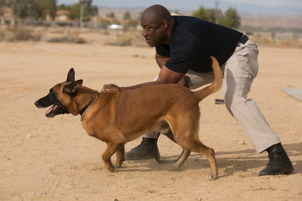K-9 leaves positive impact during Red Ribbon Week