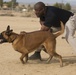 K-9 leaves positive impact during Red Ribbon Week