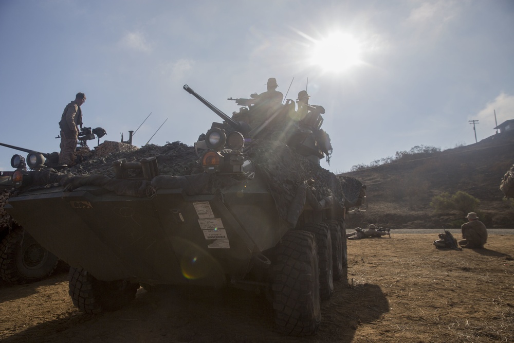 Scout and Vehicle Live Fire