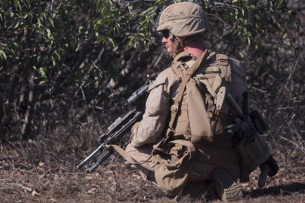 Scout and Vehicle Live Fire