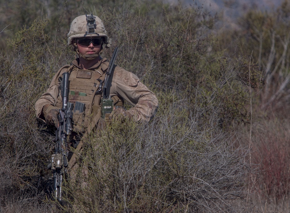 Scout and Vehicle Live Fire