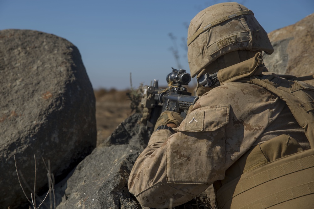 Scout and Vehicle Live Fire