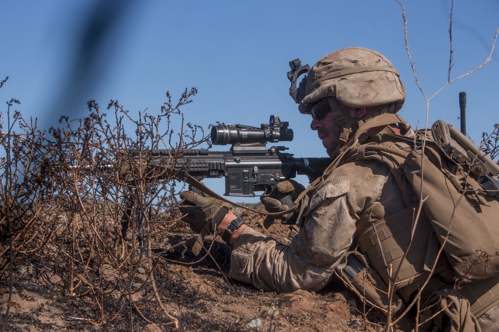 Scout and Vehicle Live Fire