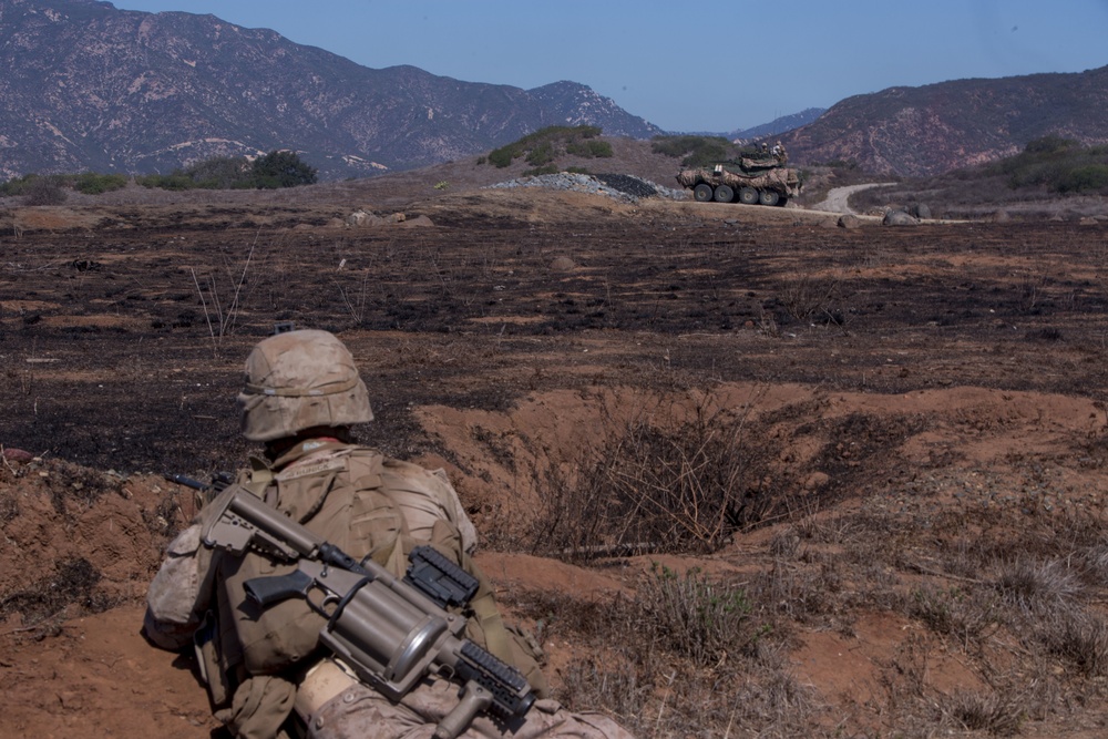 Scout and Vehicle Live Fire