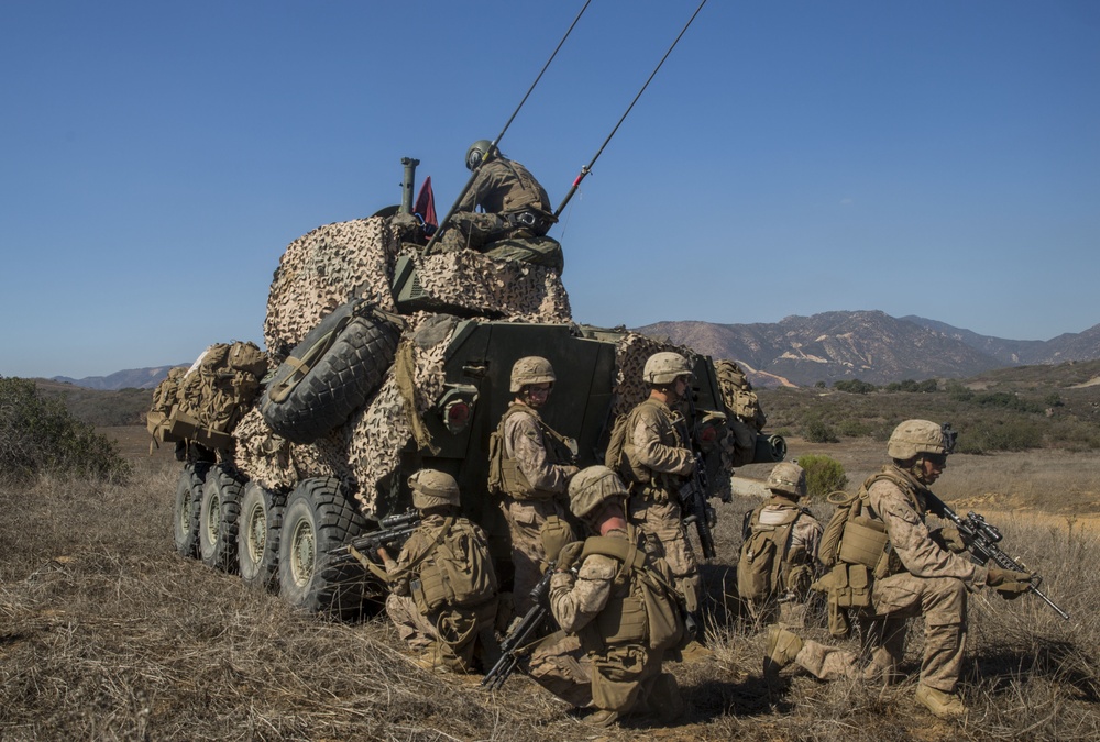 Scout and Vehicle Live Fire