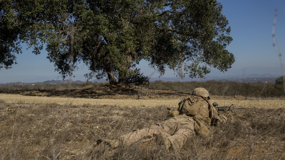 Scout and Vehicle Live Fire