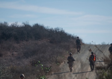 Scout and Vehicle Live Fire