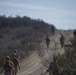 Scout and Vehicle Live Fire