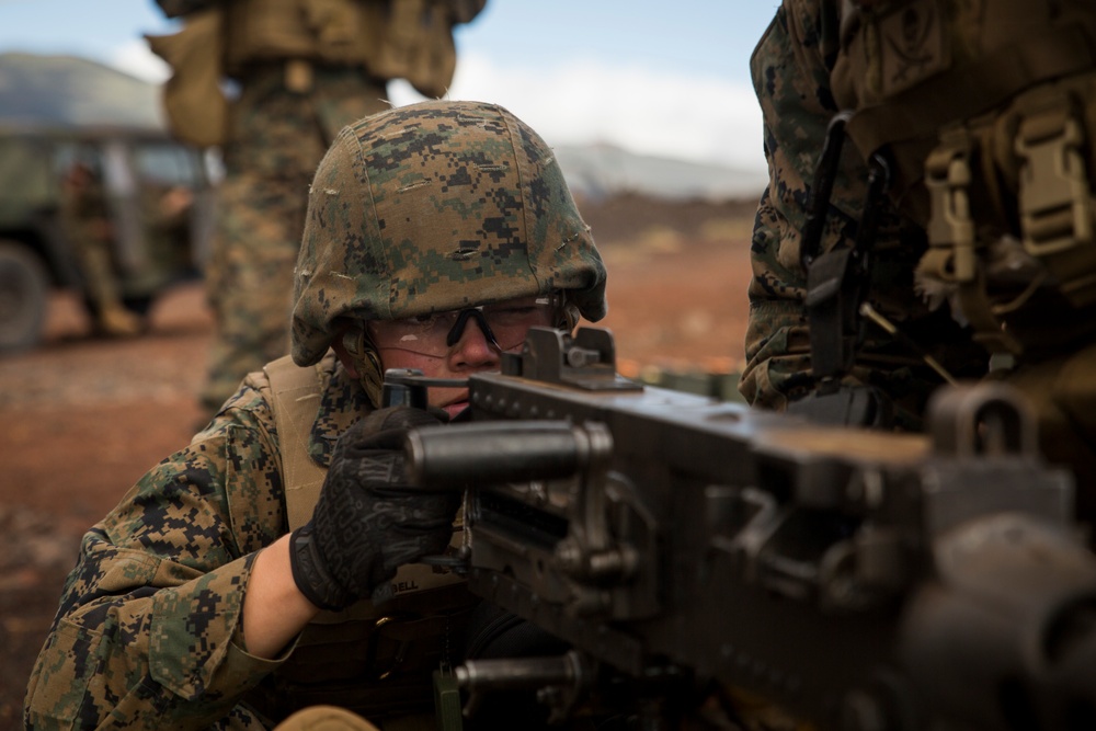 Marines, machine guns, over 7 thousand rounds