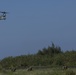 Marines Raid the Island Of Ie Shima