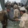 Field training exercise for CARAT Cambodia 2016 Field training exercise for CARAT Cambodia 2016