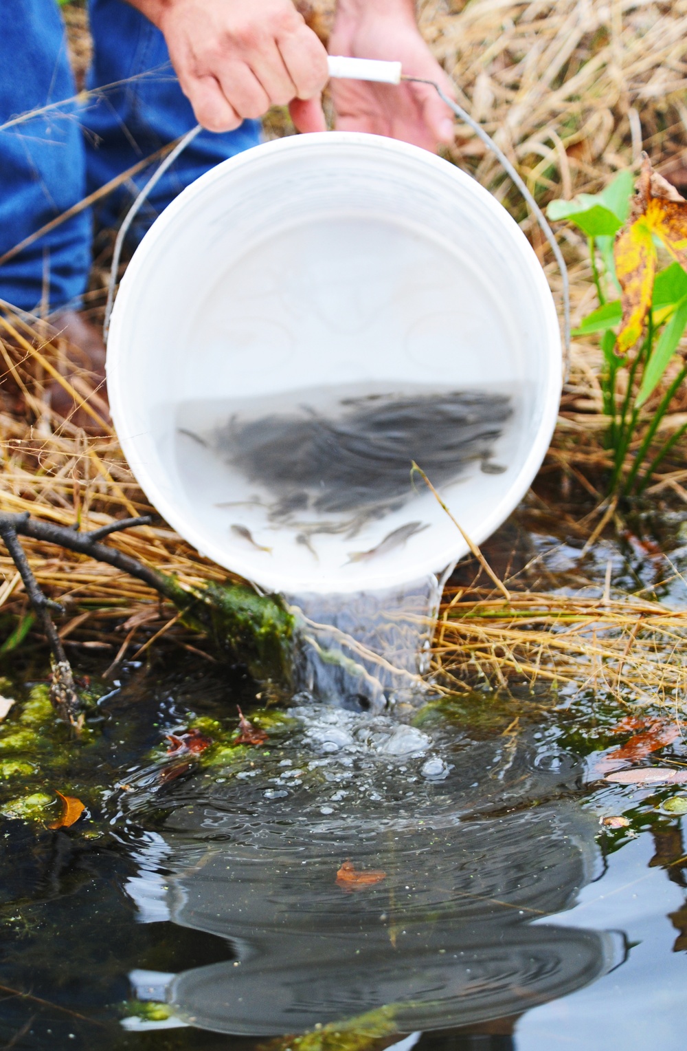 Fisheries sustained at Whiteman AFB