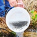 Fisheries sustained at Whiteman AFB