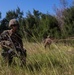 3/3 conducts land assault during BC17