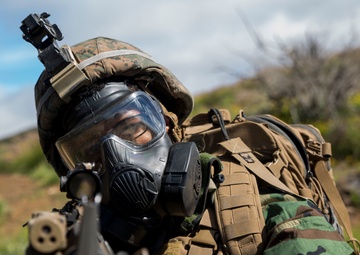 CLB-3 packs punches, provides support
