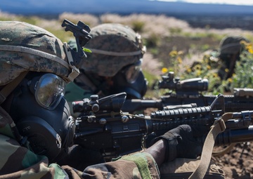 CLB-3 packs punches, provides support