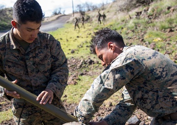 CLB-3 packs punches, provides support