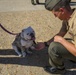 Cpl. Smedley D. Butler's Promotion Ceremony
