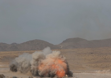 Partnership provides mutual benefit in decisive action fight