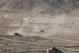 Partnership provides mutual benefit in decisive action fight