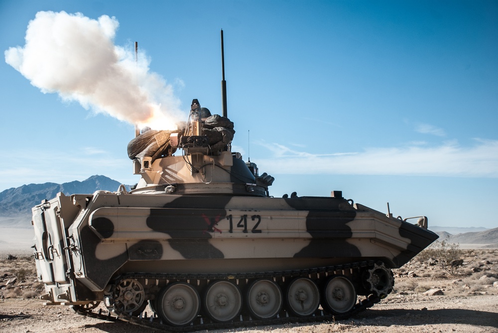 Blackhorse Tests the Defense of the Ready First Brigade