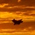 F-35B Lightning II Conducts Operations Aboard USS America (LHA 6)