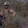 Scout and Vehicle Live Fire