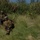 Marines Raid the Island Of Ie Shima