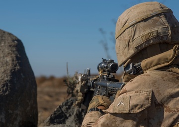 Scout and Vehicle Live Fire