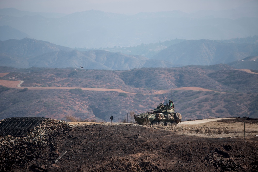 Scout and Vehicle Live Fire