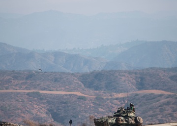 Scout and Vehicle Live Fire